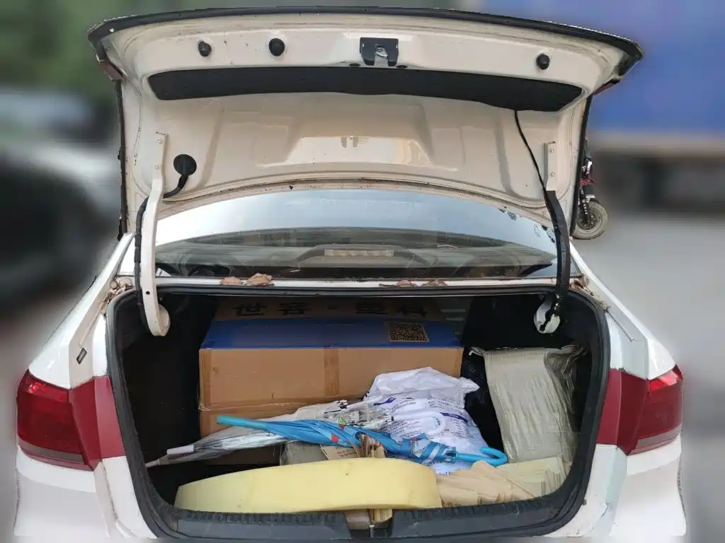 Volkswagen Santana — миниатюра 10