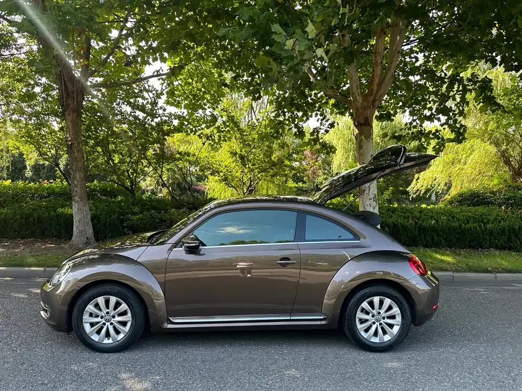 Volkswagen Beetle — миниатюра 17