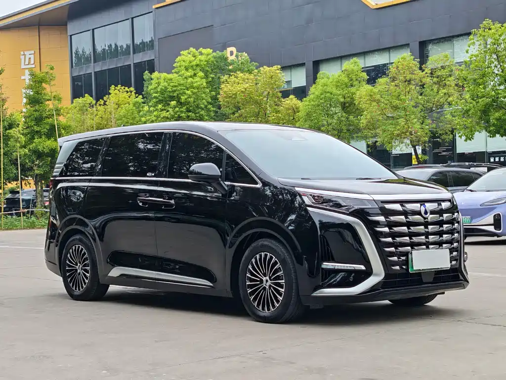 Denza Denza D9 — миниатюра 3