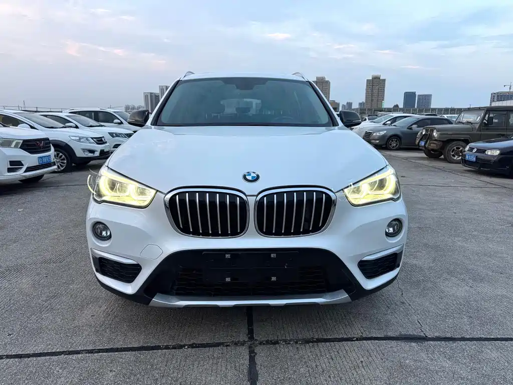 BMW X1 — миниатюра 2