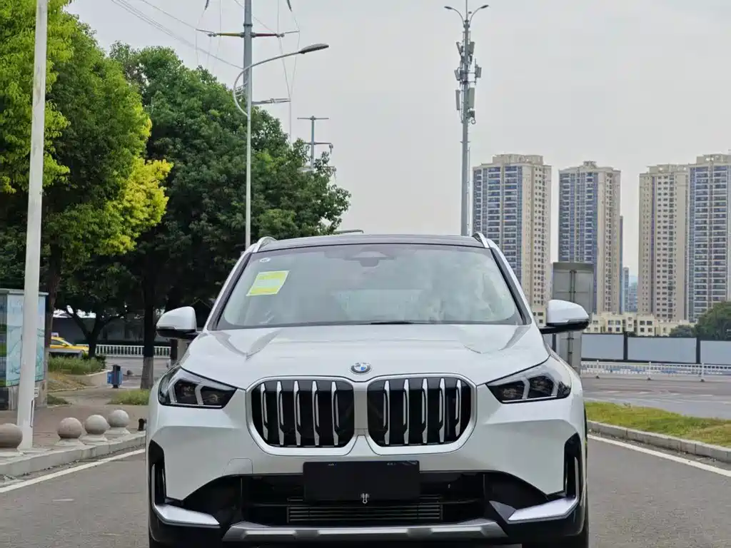 BMW X1 — миниатюра 2
