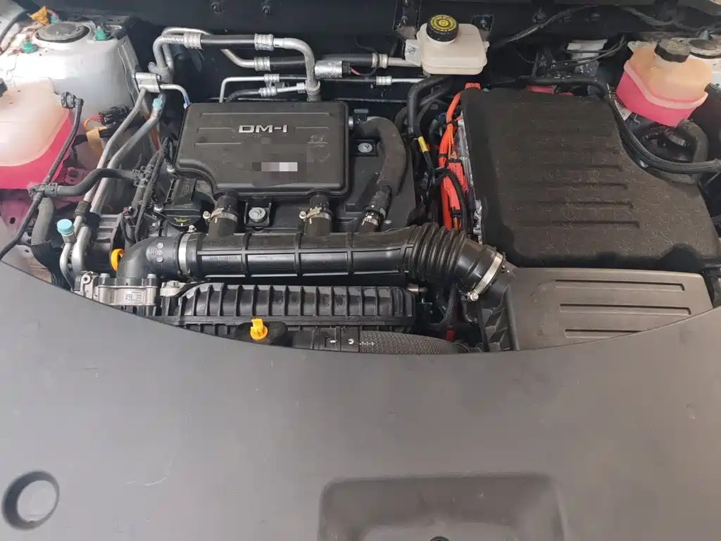 BYD Pro New Energy — миниатюра 16