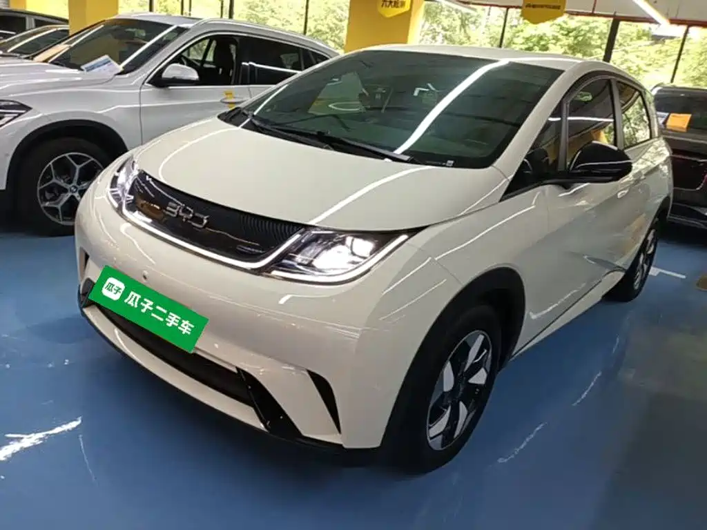 BYD Dolphin — миниатюра 2