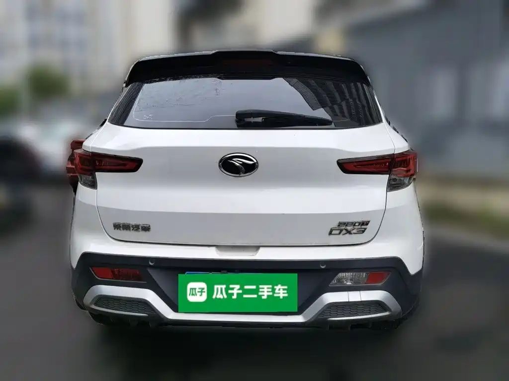 Soueast DX3 — миниатюра 3