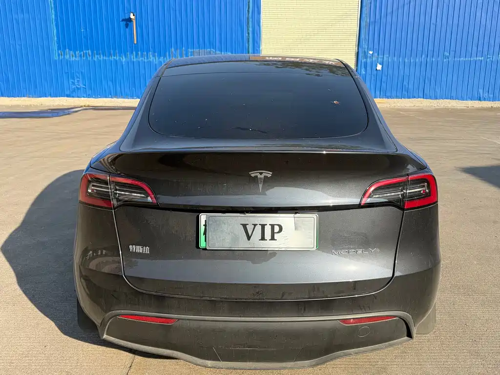 Tesla Model Y — миниатюра 4