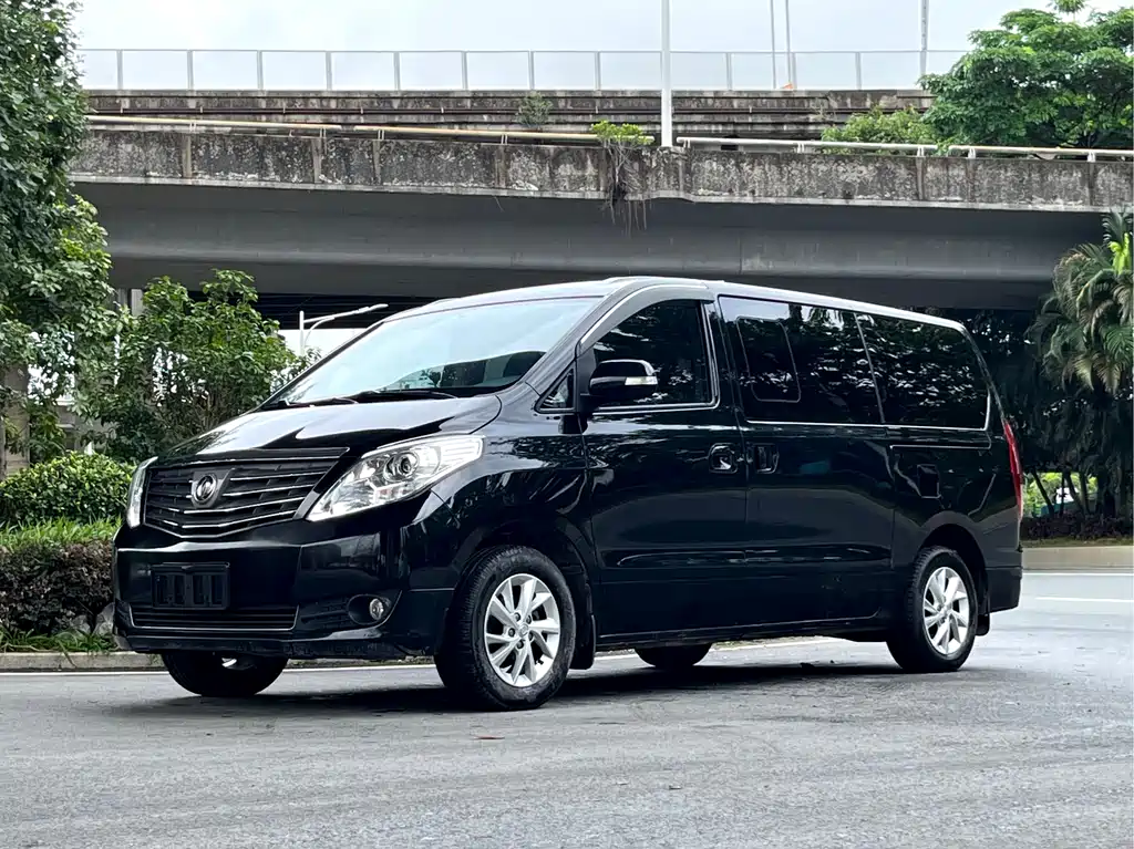 Fengxing Lingzhi PLUS