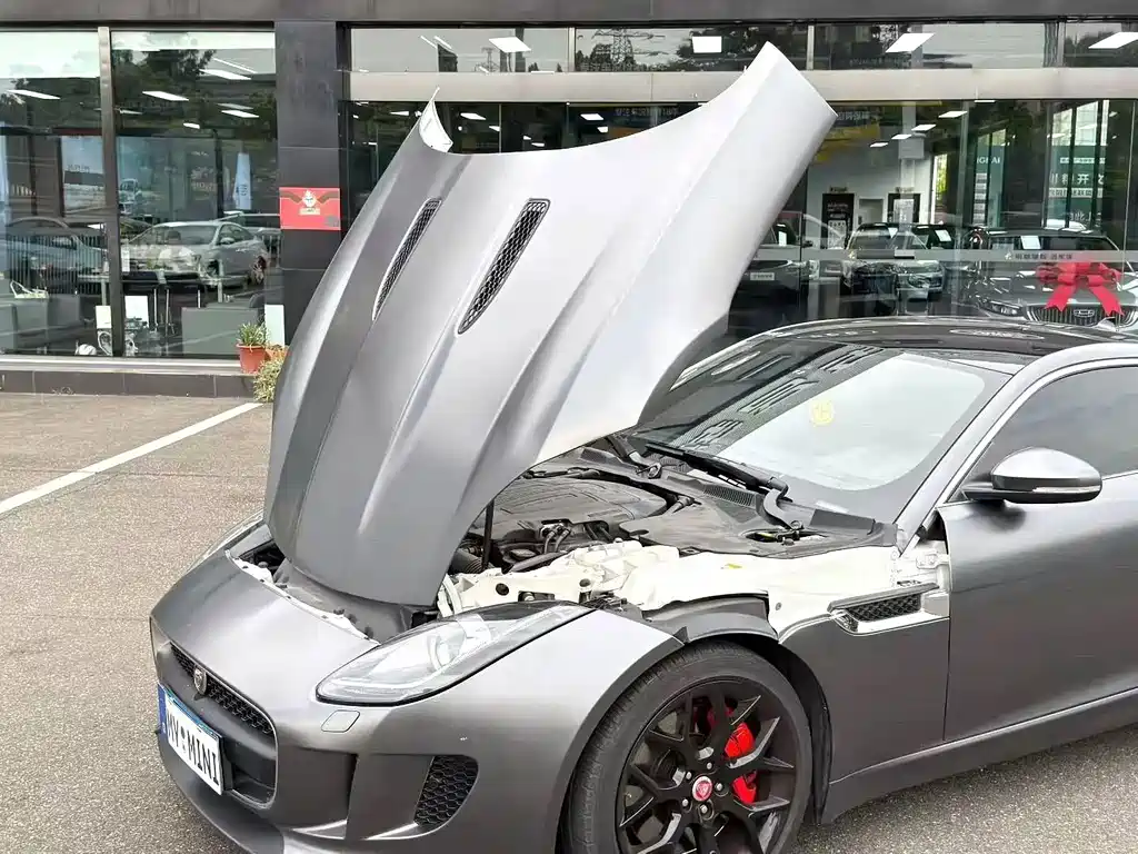Jaguar F-TYPE — миниатюра 6