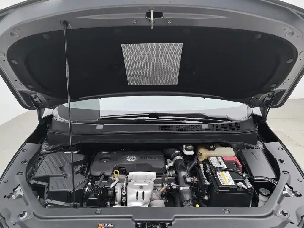 Buick GL6 — миниатюра 6