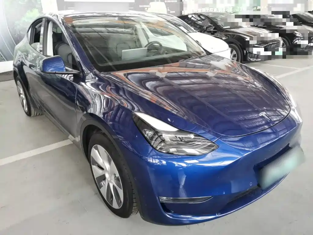 Tesla Model Y — миниатюра 4