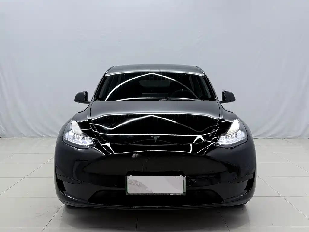 Tesla Model Y — миниатюра 2