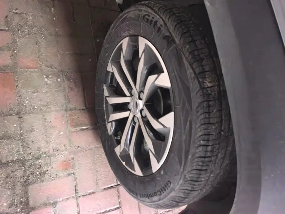 Haval Big Dog — миниатюра 6