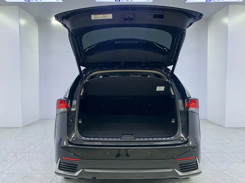 Lexus NX — миниатюра 20