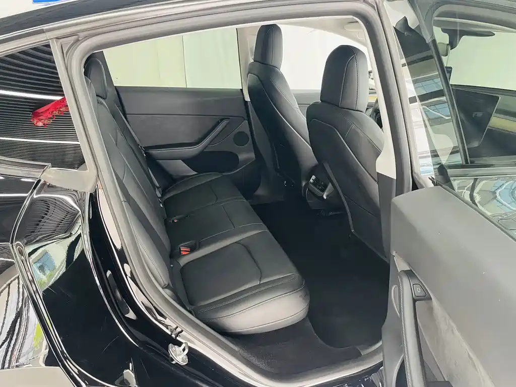 Tesla Model Y — миниатюра 13