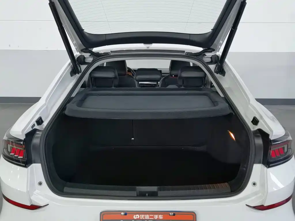 Volkswagen Lamando — миниатюра 16