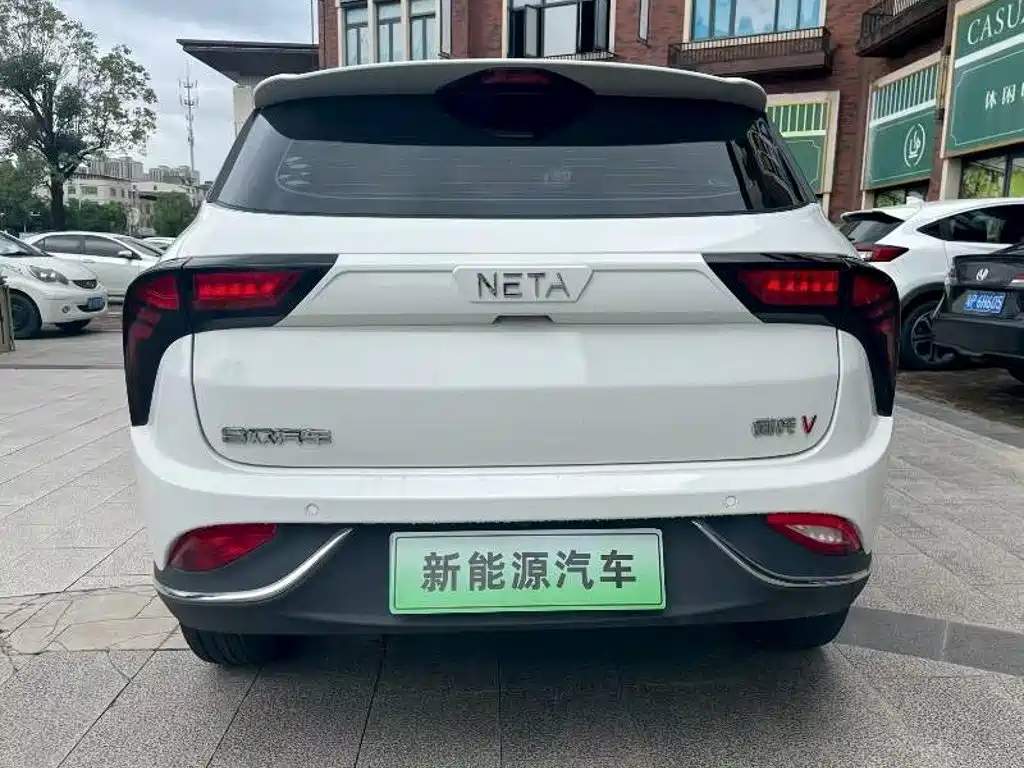 Neta Neta V — миниатюра 8