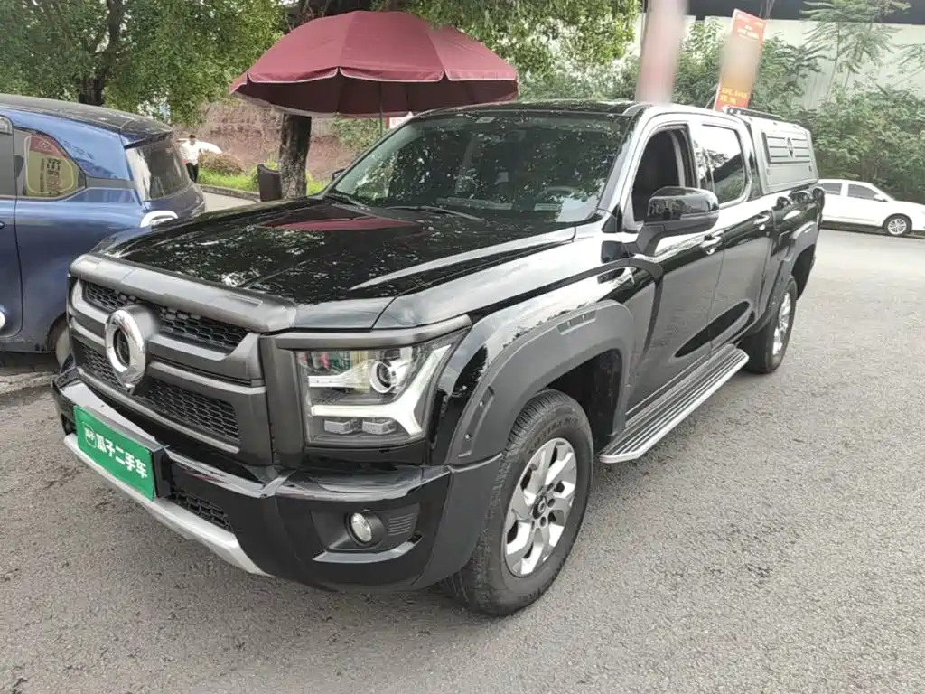 Great Wall King Kong Pao — миниатюра 2