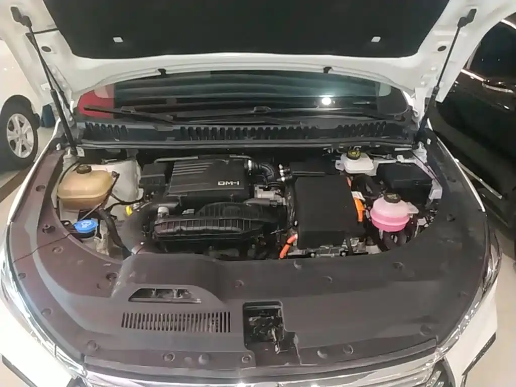 BYD MAX New Energy — миниатюра 20