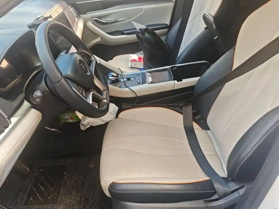 BYD PLUS New Energy — миниатюра 12