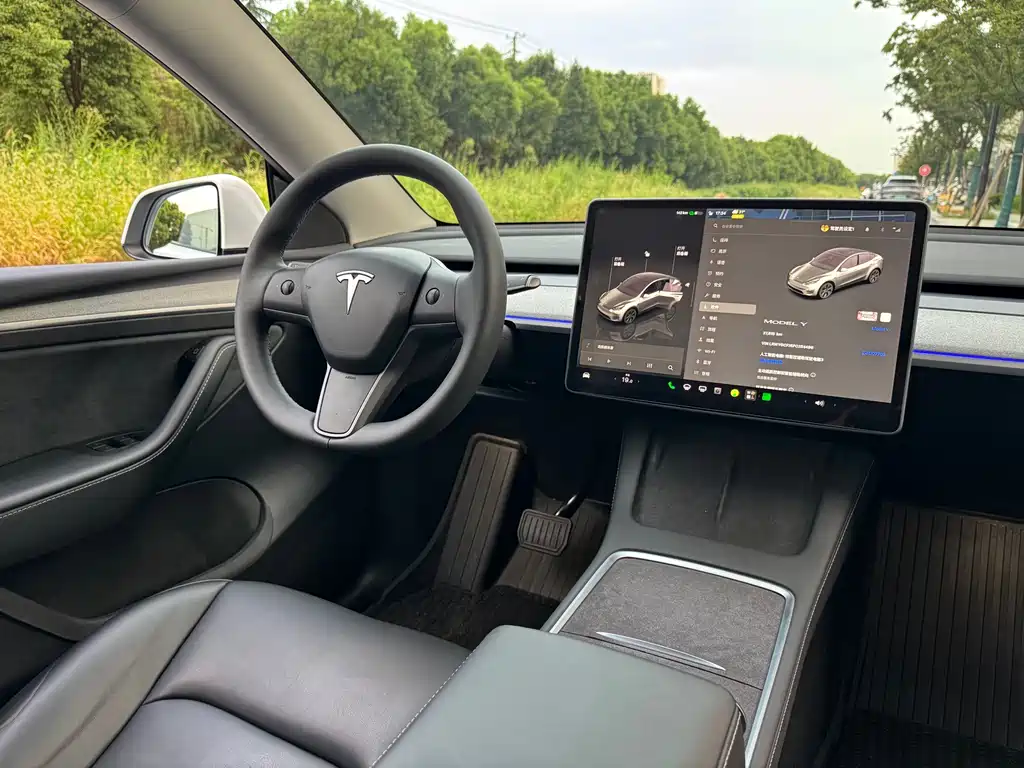 Tesla Model Y — миниатюра 12