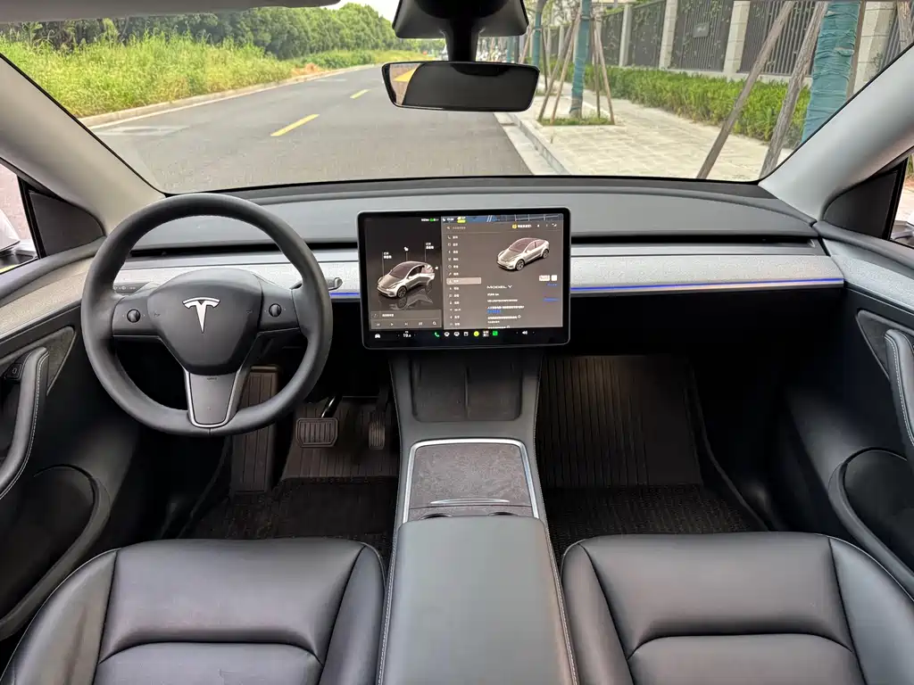 Tesla Model Y — миниатюра 14