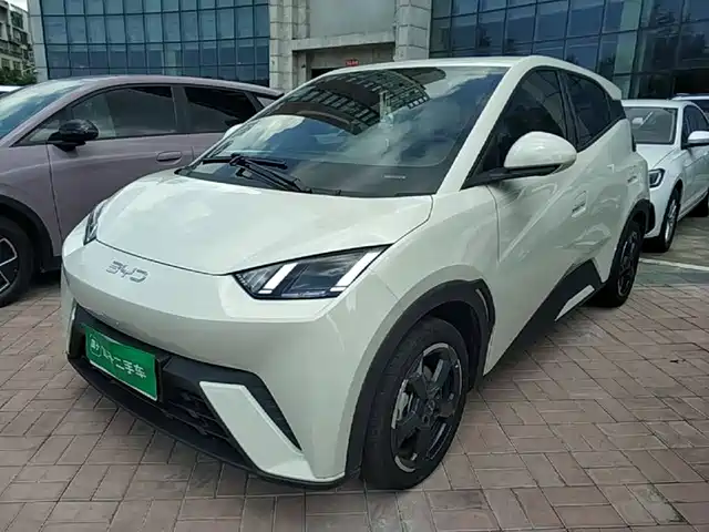 BYD Seagull