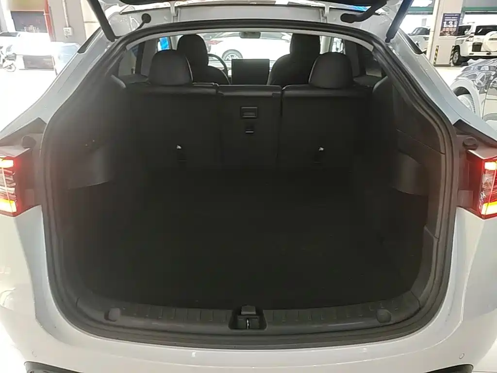 Tesla Model Y — миниатюра 19