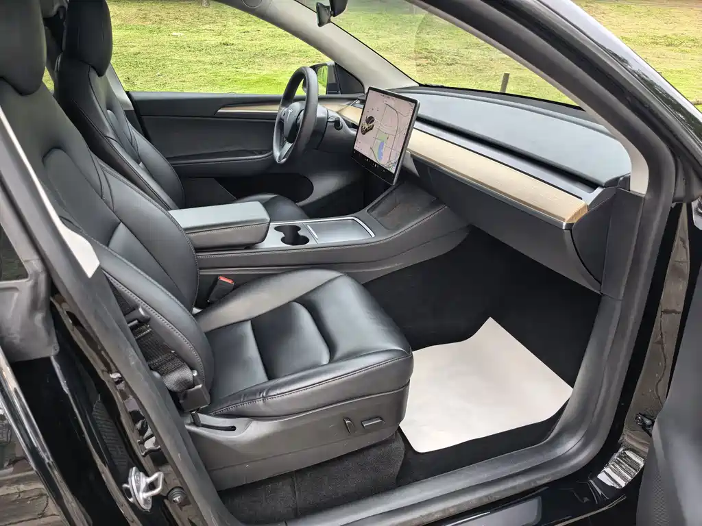 Tesla Model Y — миниатюра 5