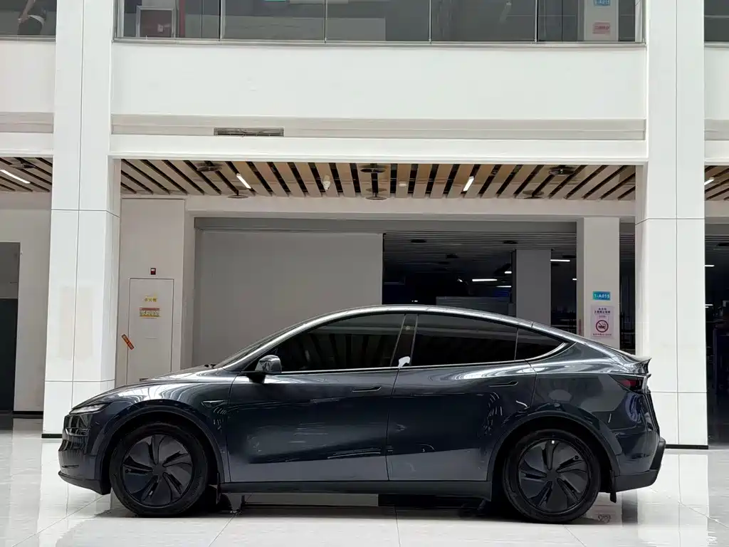Tesla Model Y — миниатюра 8