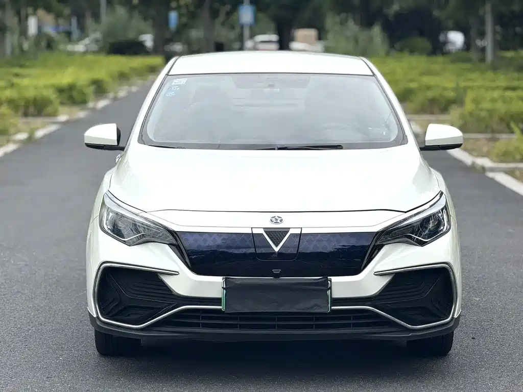 Venucia D60 EV — миниатюра 8