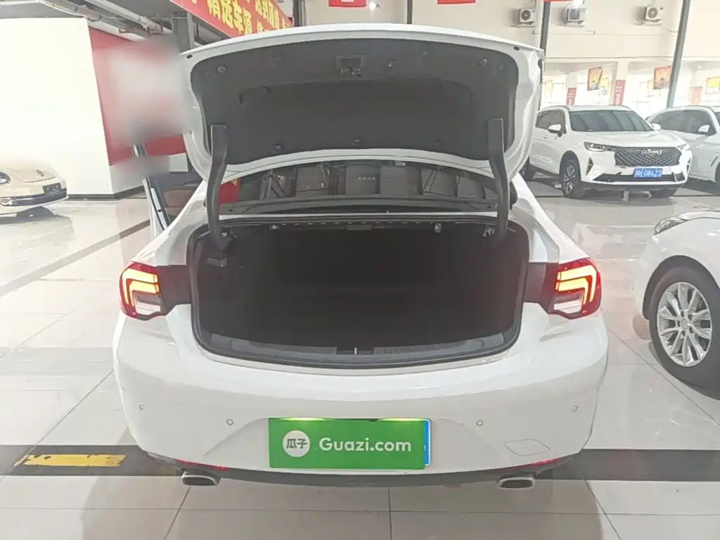 Buick Regal — миниатюра 19