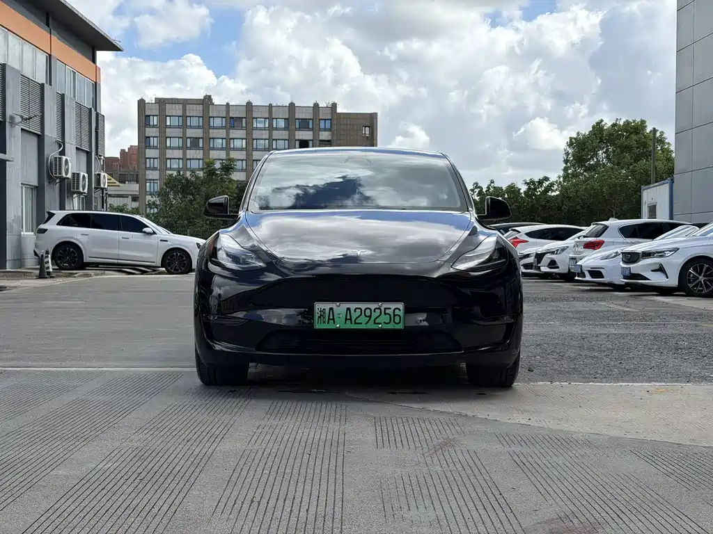 Tesla Model Y — миниатюра 3