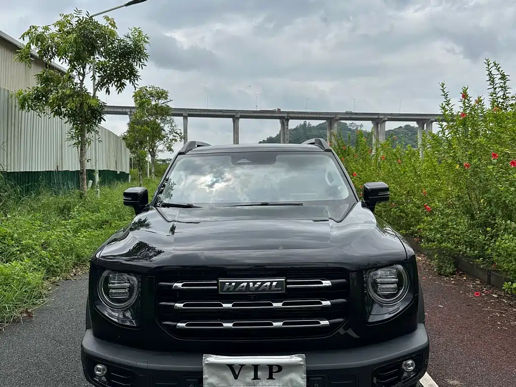 Haval Big Dog — миниатюра 2