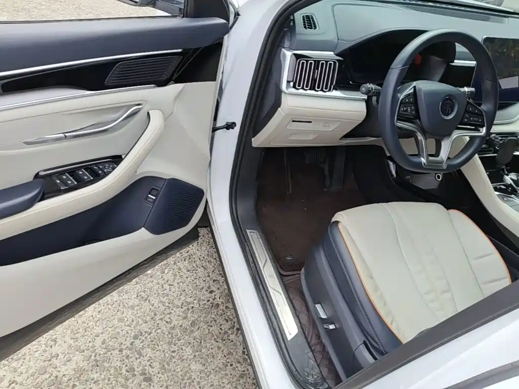 BYD PLUS New Energy — миниатюра 16