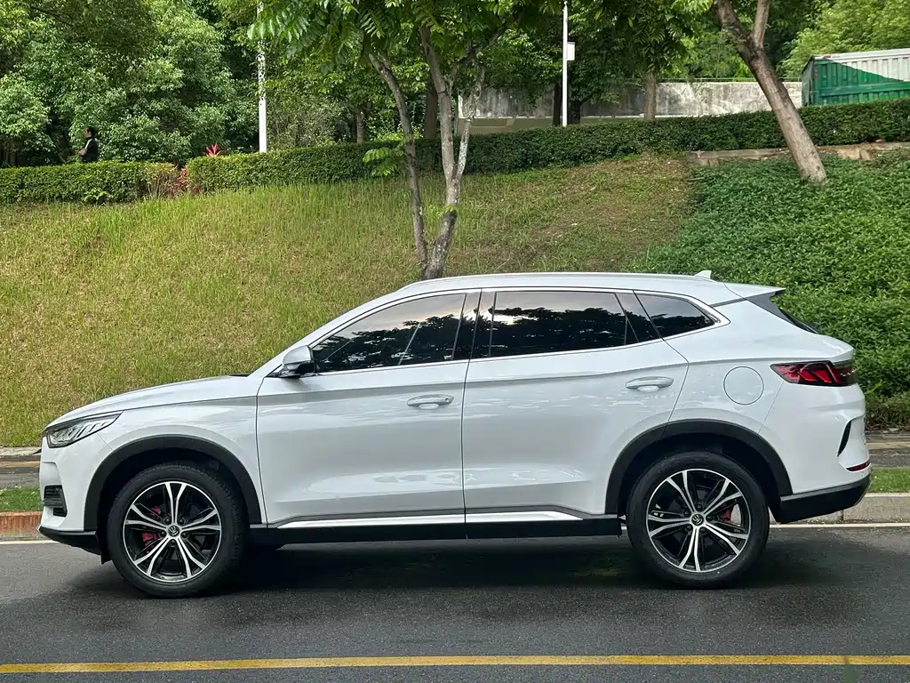 BYD PLUS — миниатюра 3