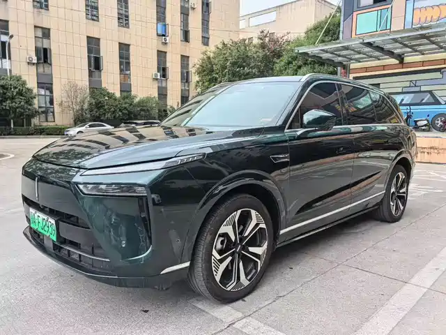 WEI PAI WEI BRAND BLUE MOUNTAIN 2024