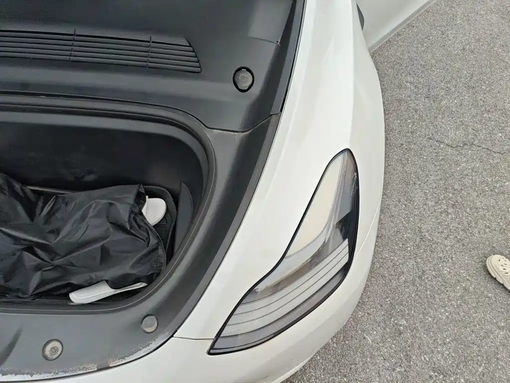 Tesla Model Y — миниатюра 23