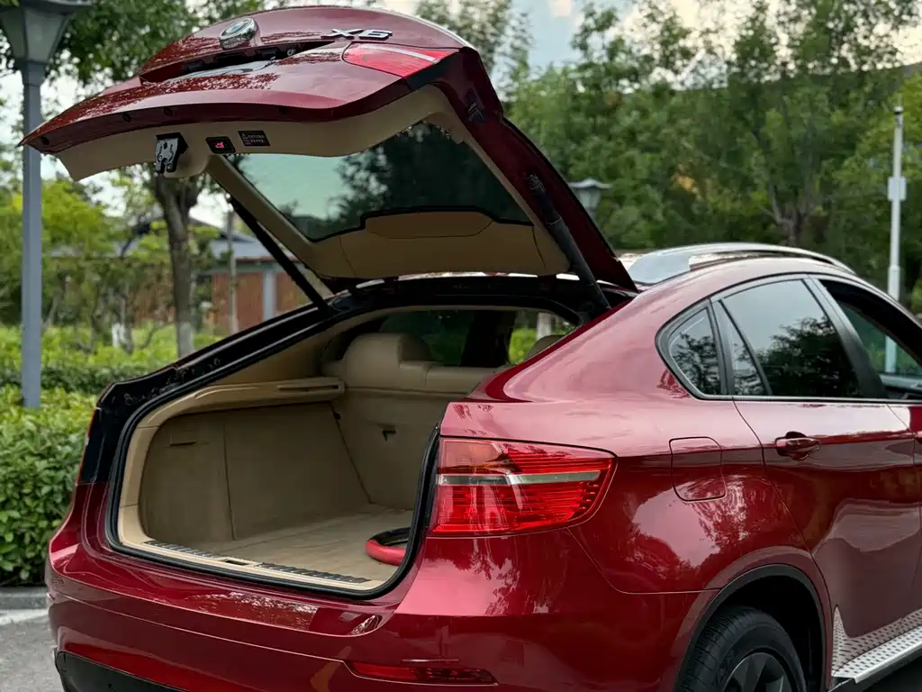BMW X6 — миниатюра 17