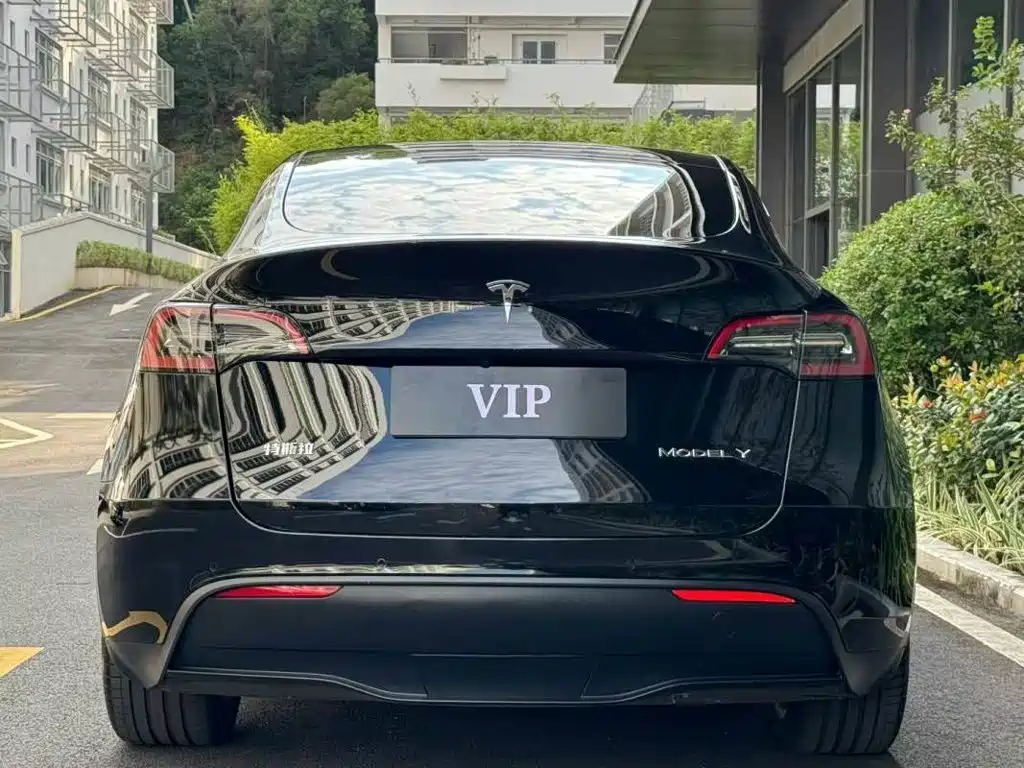 Tesla Model Y — миниатюра 9