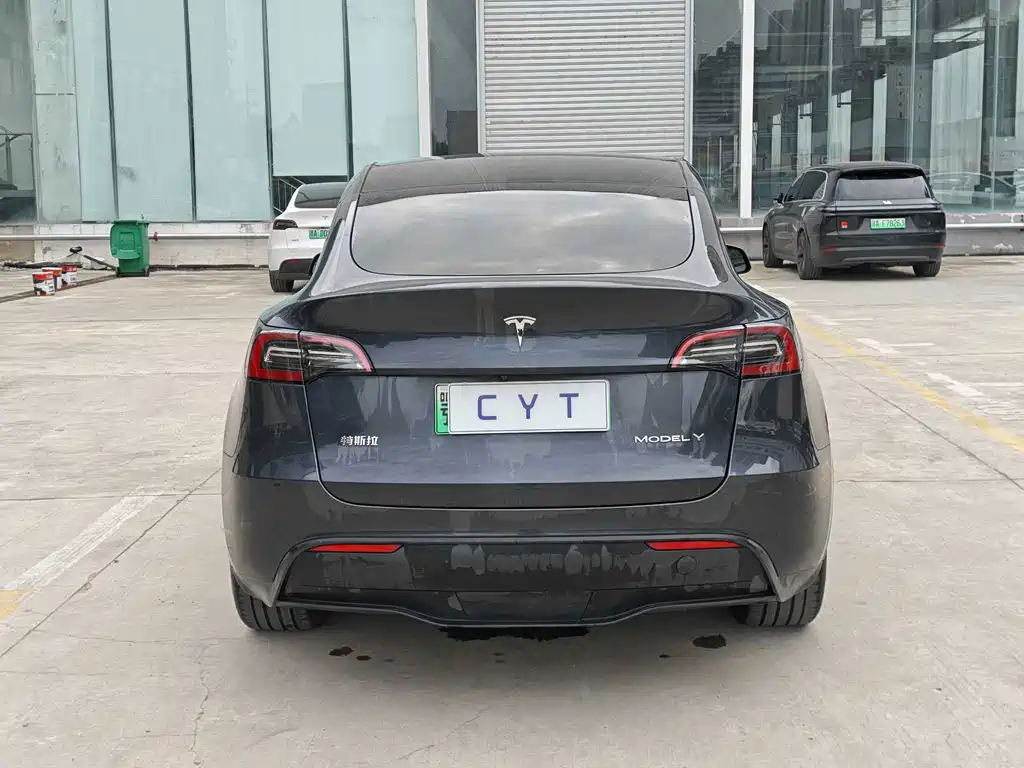 Tesla Model Y — миниатюра 7