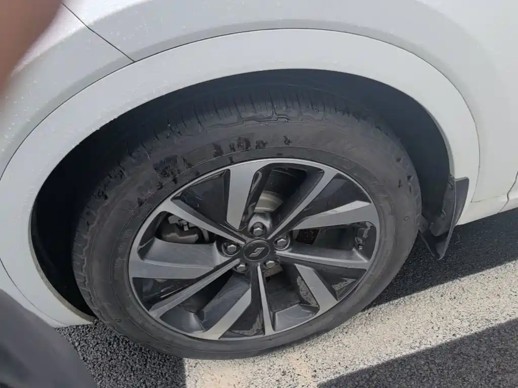 Li Auto Li ONE — миниатюра 23