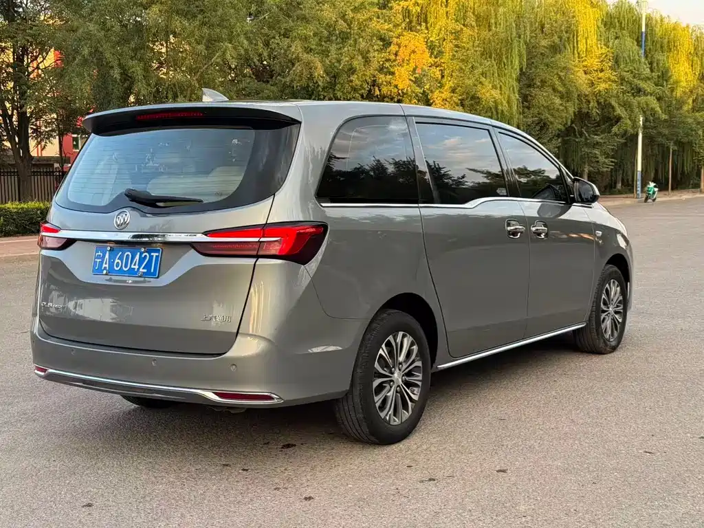 Buick GL8 — миниатюра 9