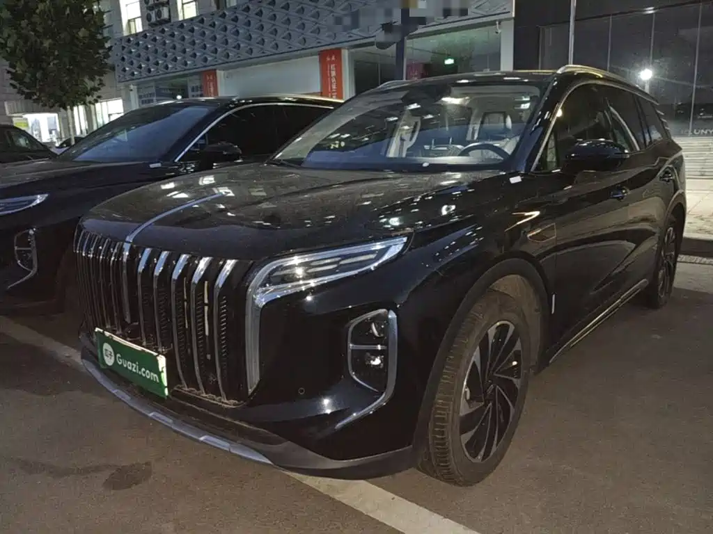 Hongqi Hongqi HS7 PHEV — миниатюра 2