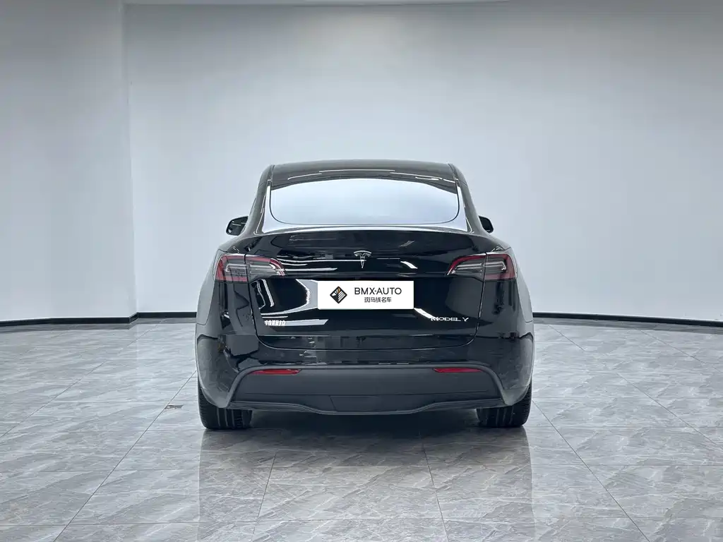 Tesla Model Y — миниатюра 6