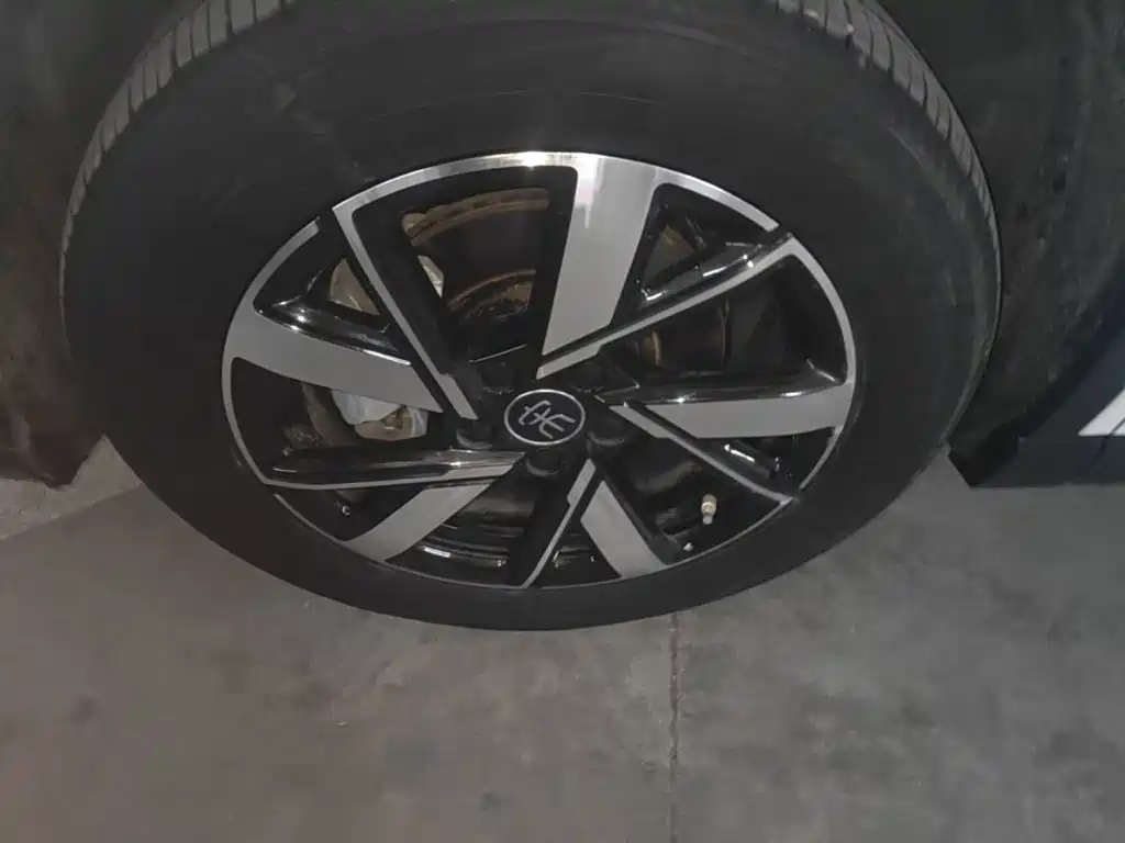 BYD Pro New Energy — миниатюра 23