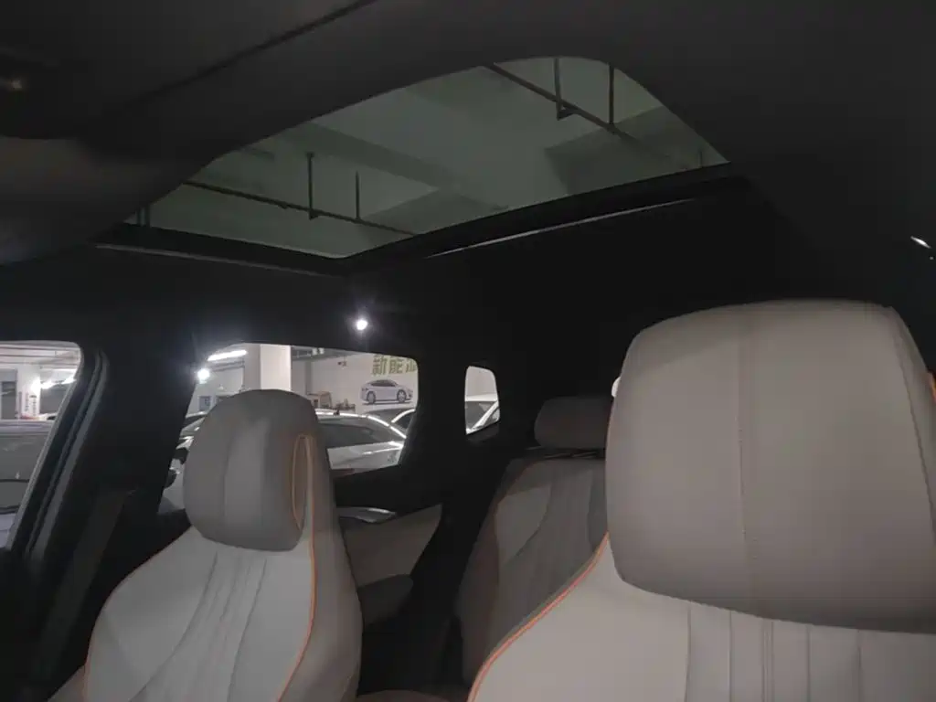 BYD Pro New Energy — миниатюра 18