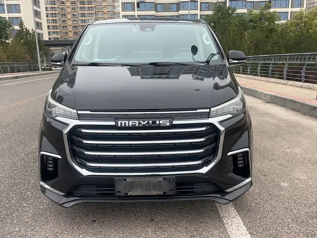 MAXUS G20 — миниатюра 4