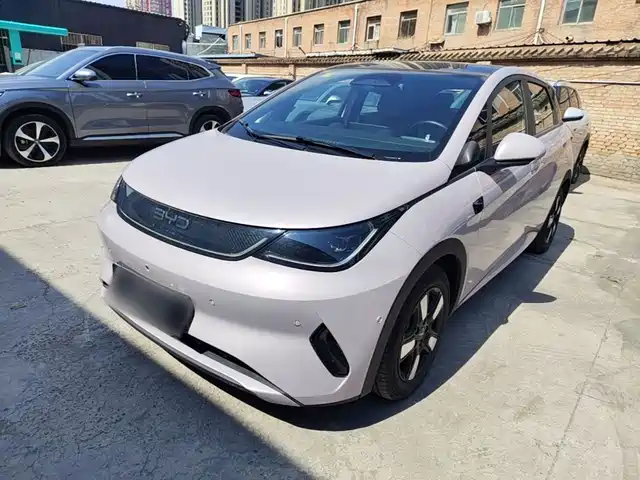 2025 BYD Dolphin