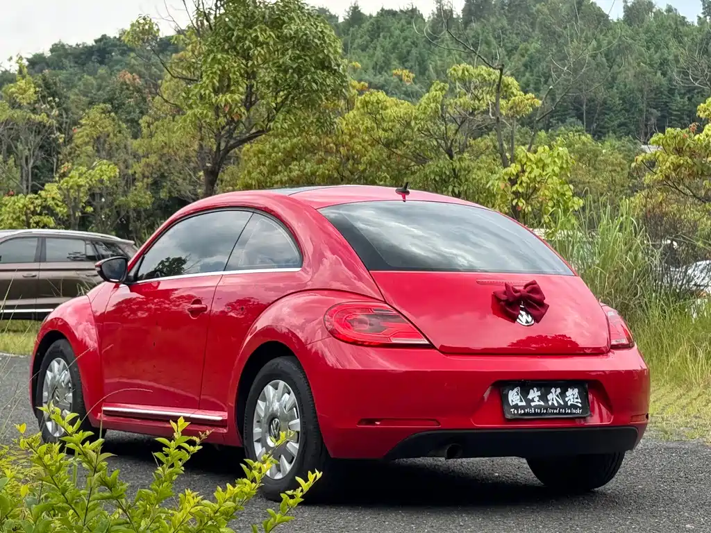 Volkswagen Beetle — миниатюра 16