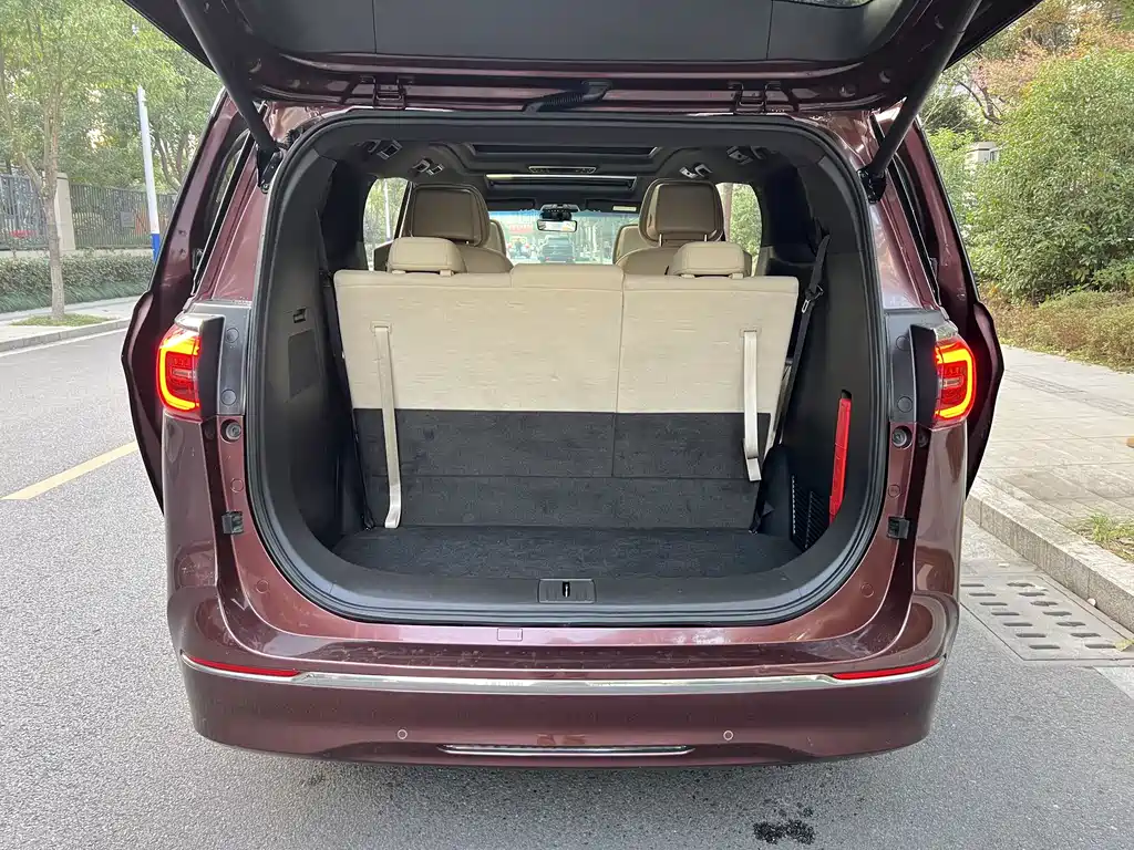 Buick GL8 — миниатюра 7