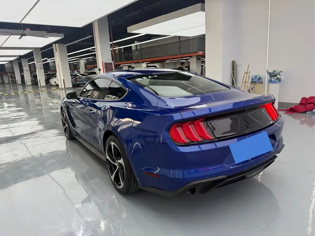 Ford Mustang — миниатюра 15